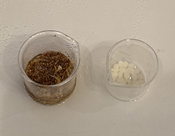 2025-02-06 11.53.48.jpg