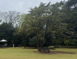 2025-03-29 10.38.01.jpg